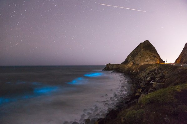 Qu'y a-t-il à savoir sur le plancton bioluminescent en Thaïlande ?